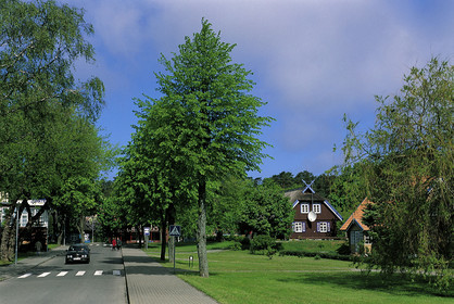 Lituanie, Pays Baltes