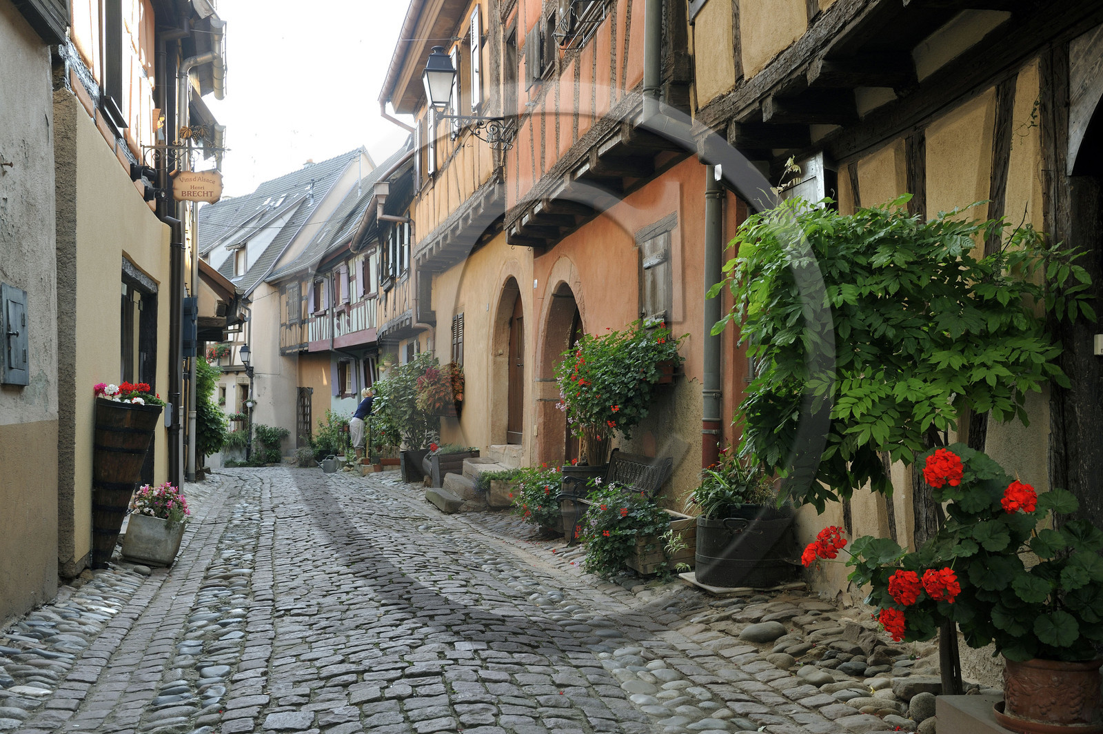 France, Eguisheim