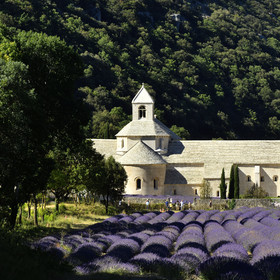 France, Senanque