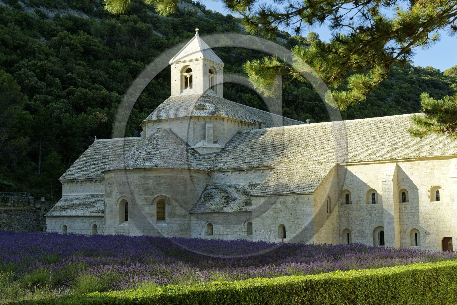 France, Senanque