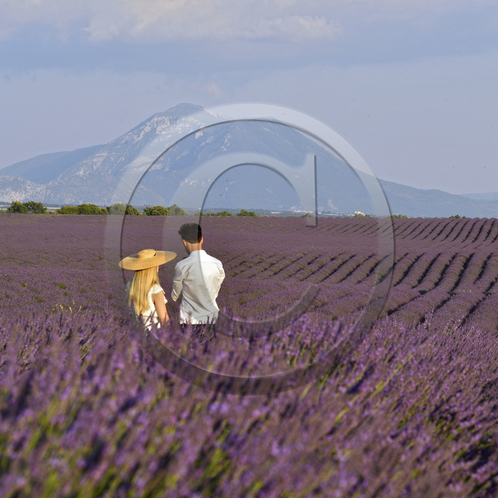 France, Valensole