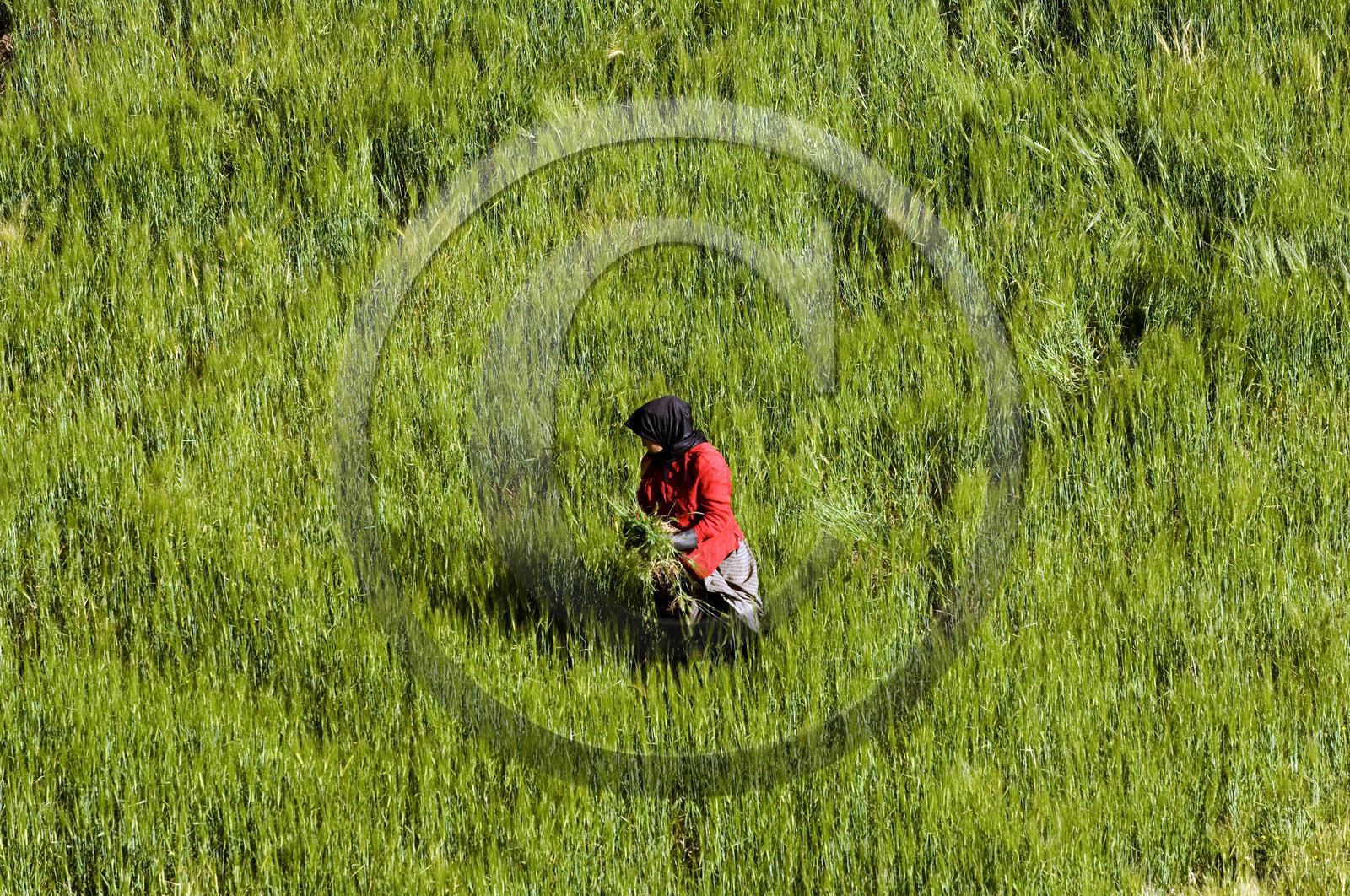 Morocco, Ait Benhaddou