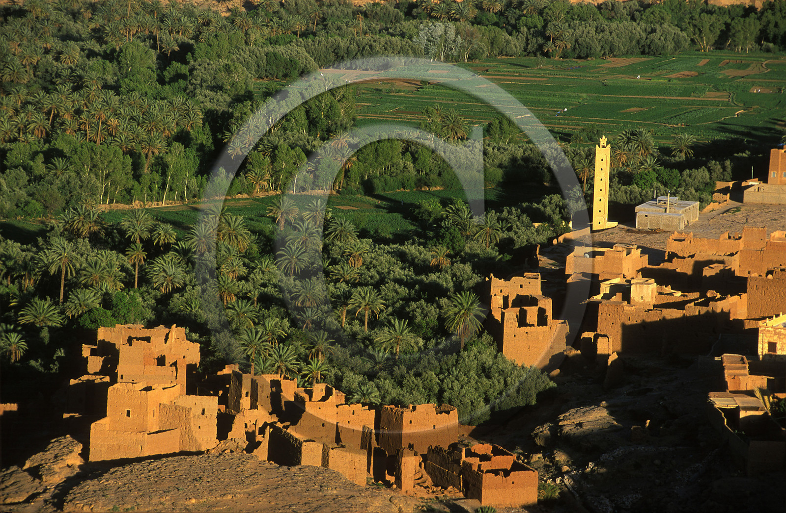 MAROC SUD  TINEGHIR.