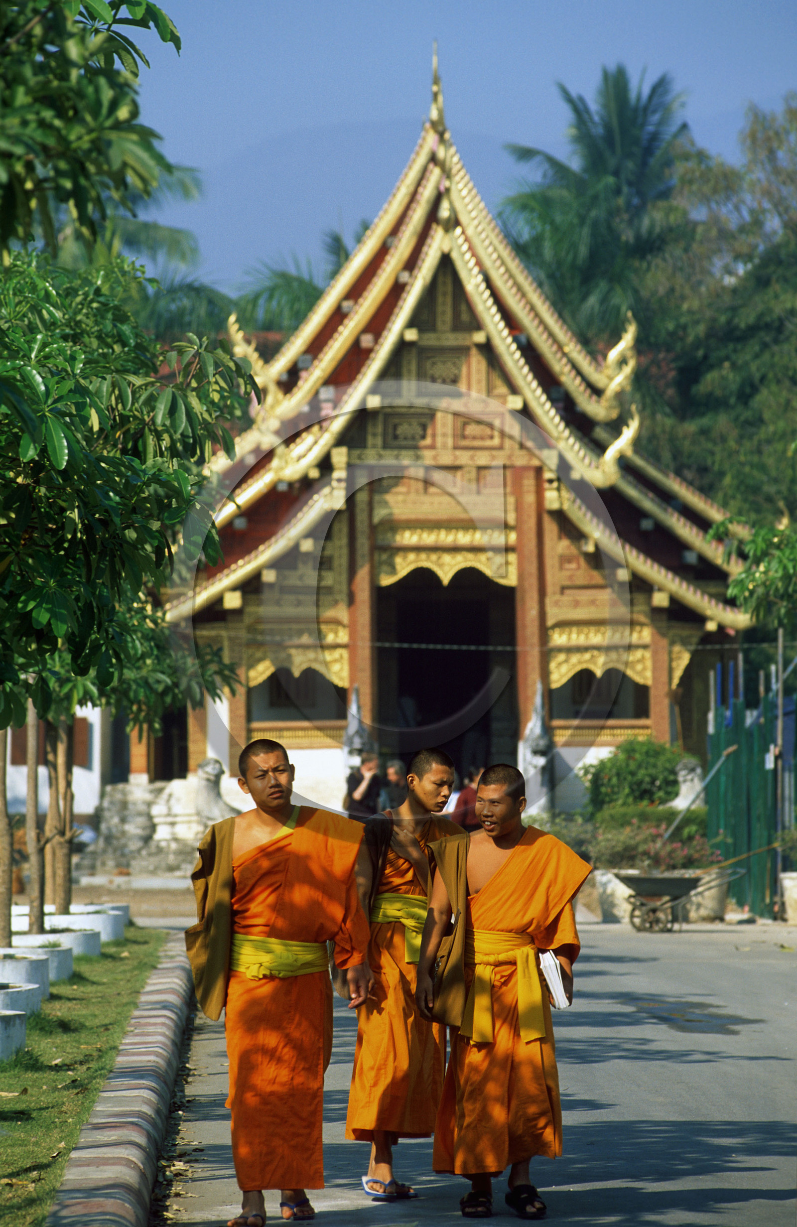 ©René MATTES THAILANDE