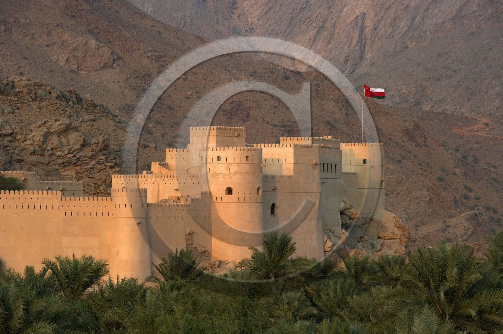 Oman, Nakhl