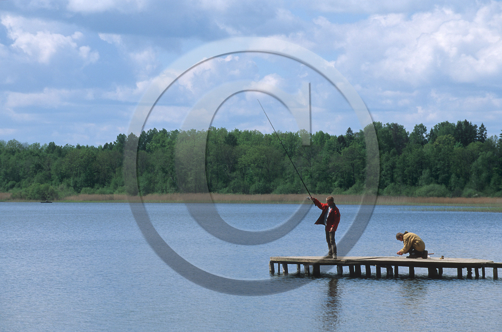 Estonie, Pays Baltes