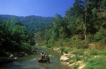 THAILANDE  DU NORD.FEMME GIRAGE