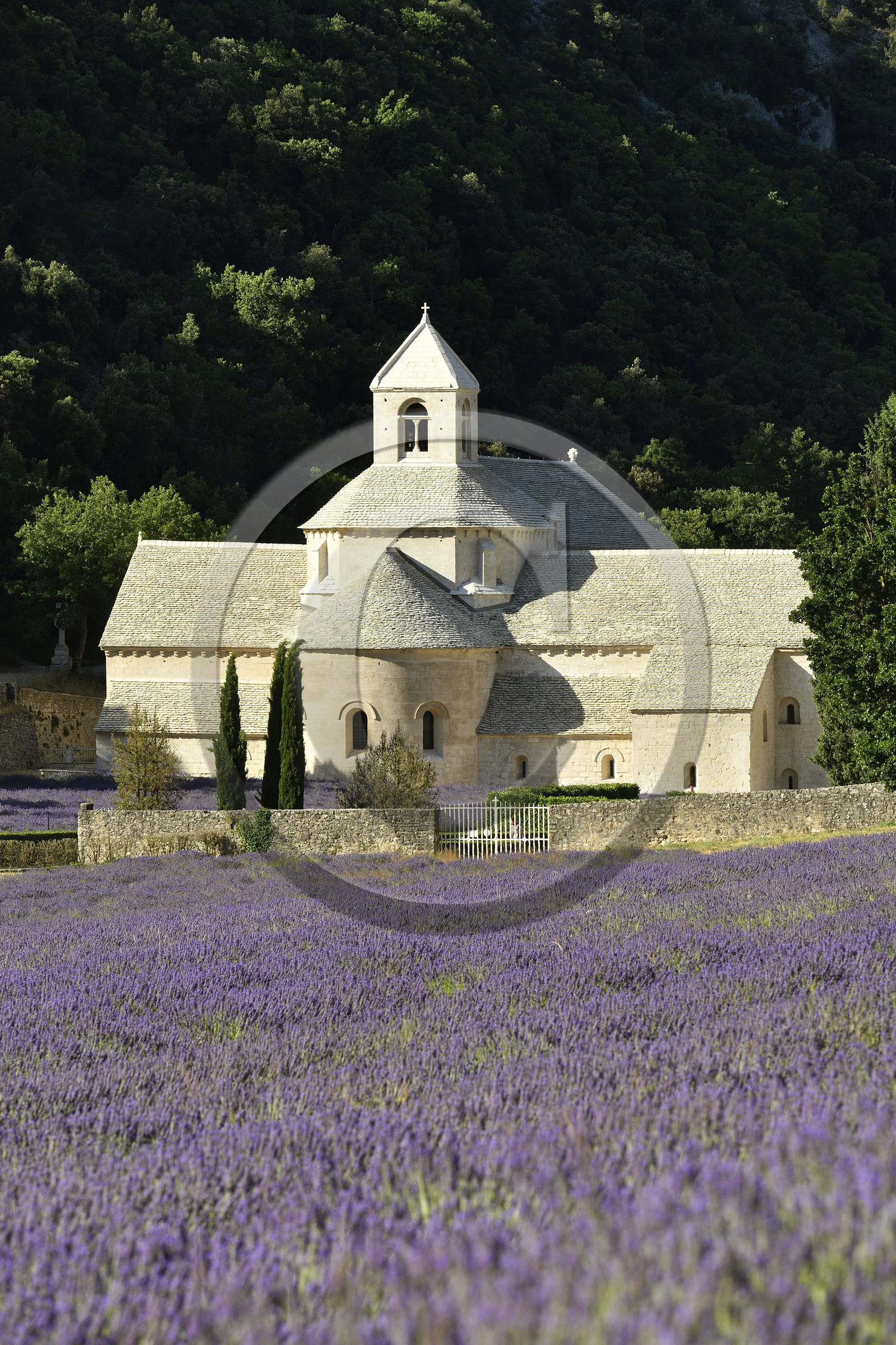 France, Senanque