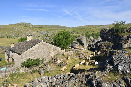 France, Nimes le Vieux