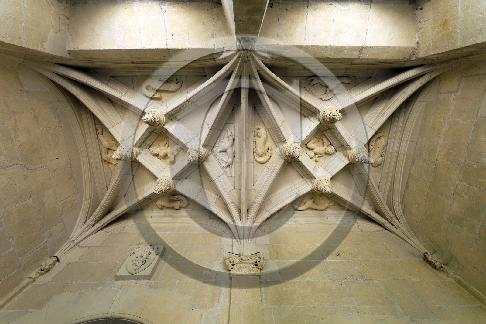 France,  Azay Le Rideau