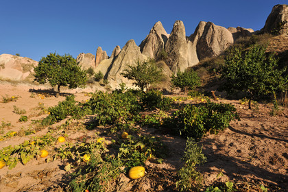 Turquie, Cappadoce