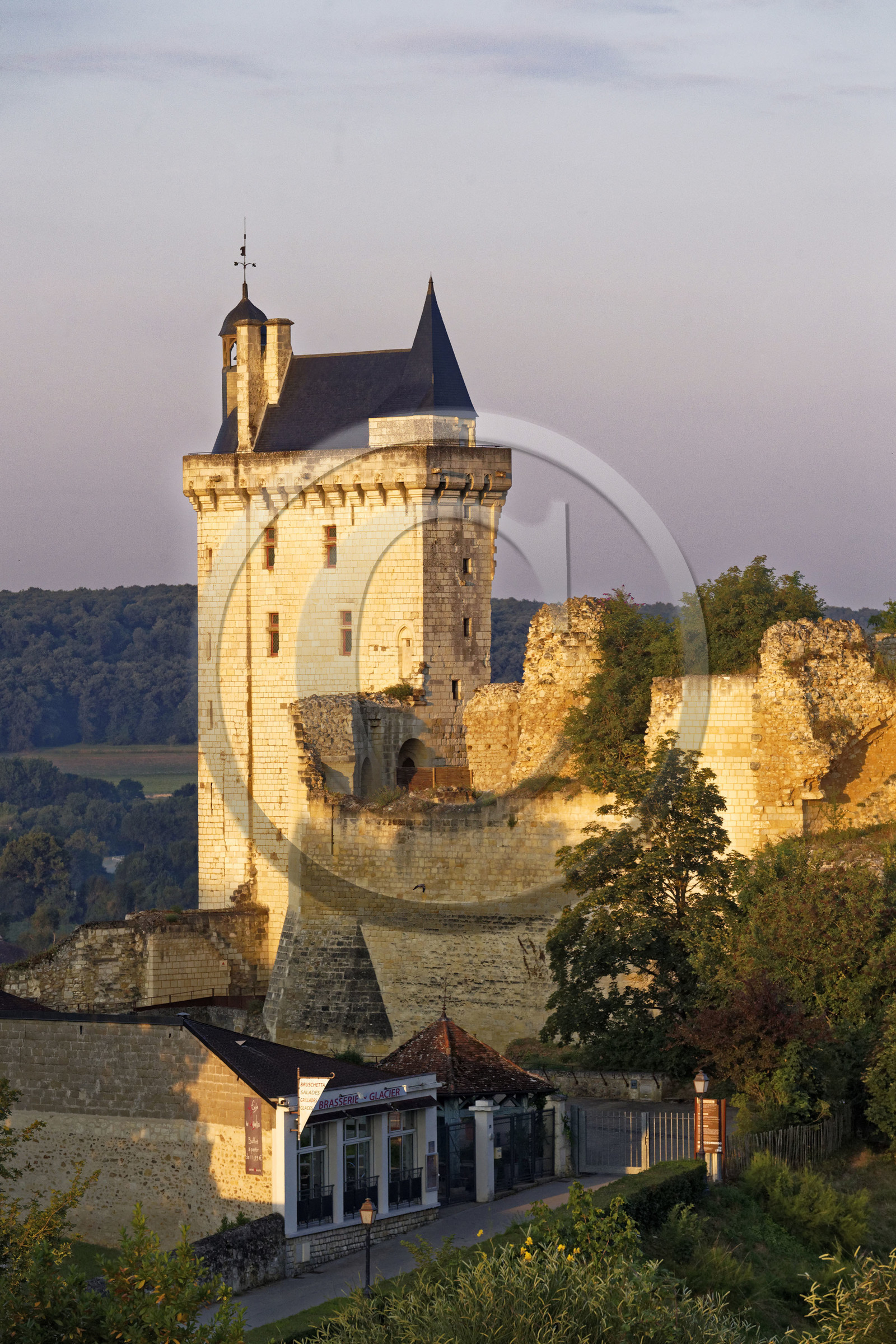 France,  Chinon