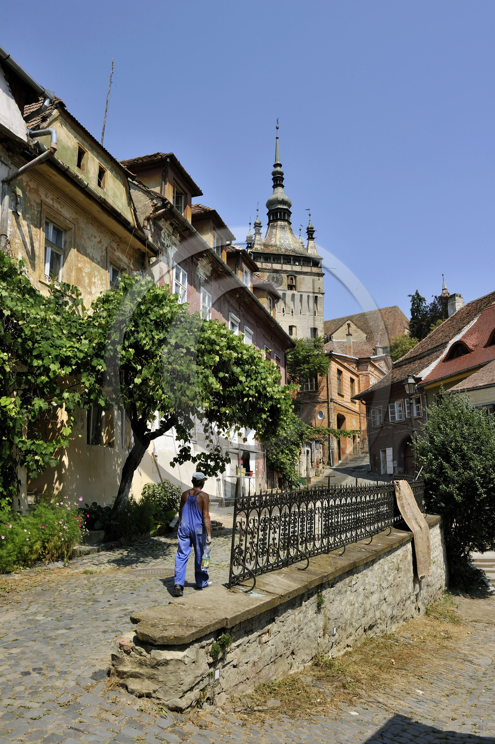 Roumanie, Sighisoara