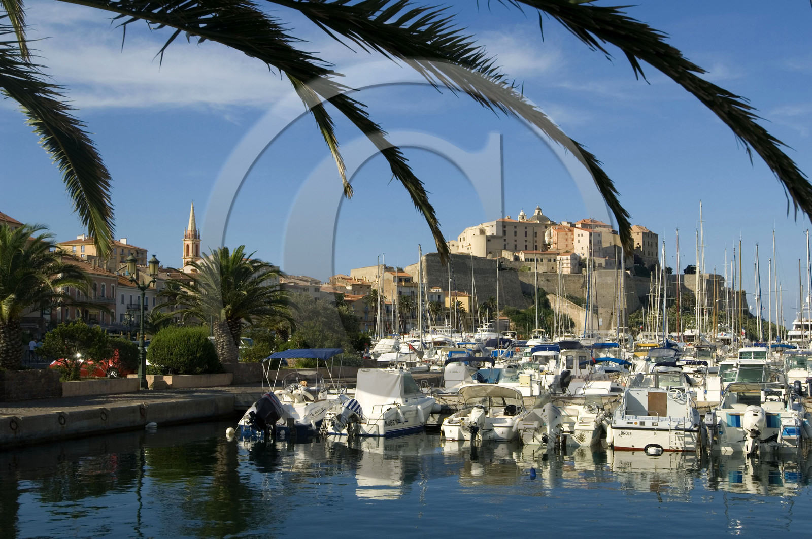 Calvi, Corse