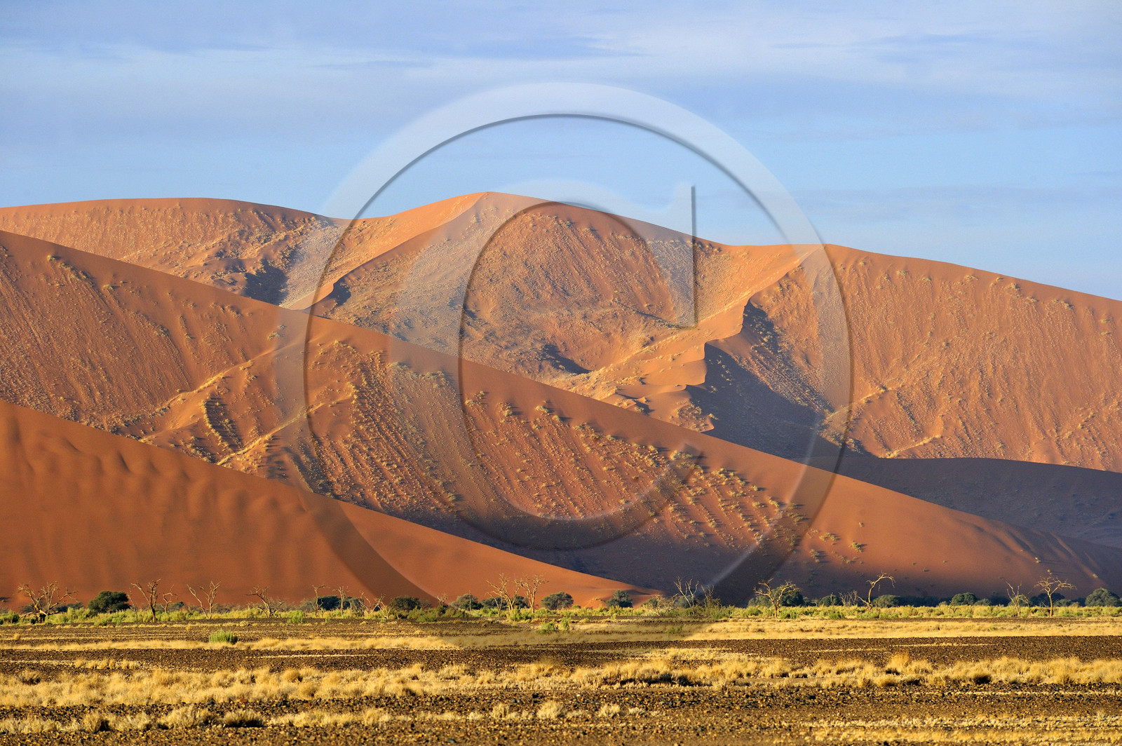Namibie, Sossusvlei
