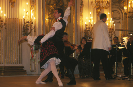 AUTRICHE VIENNE.CHATEAU DE SCHONBRUNN