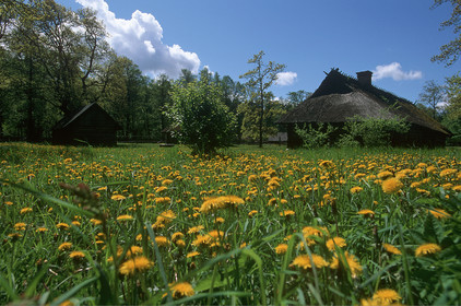 Estonie, Pays Baltes