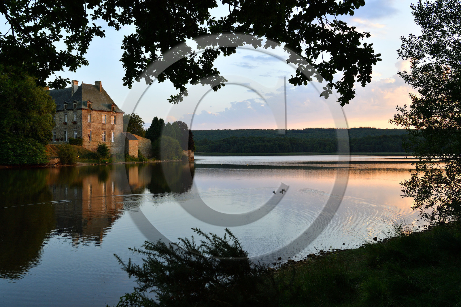 France, Brocéliande
