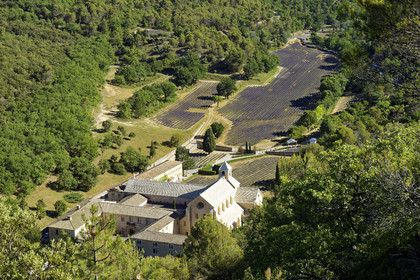 France, Senanque