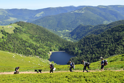 France, Vosges