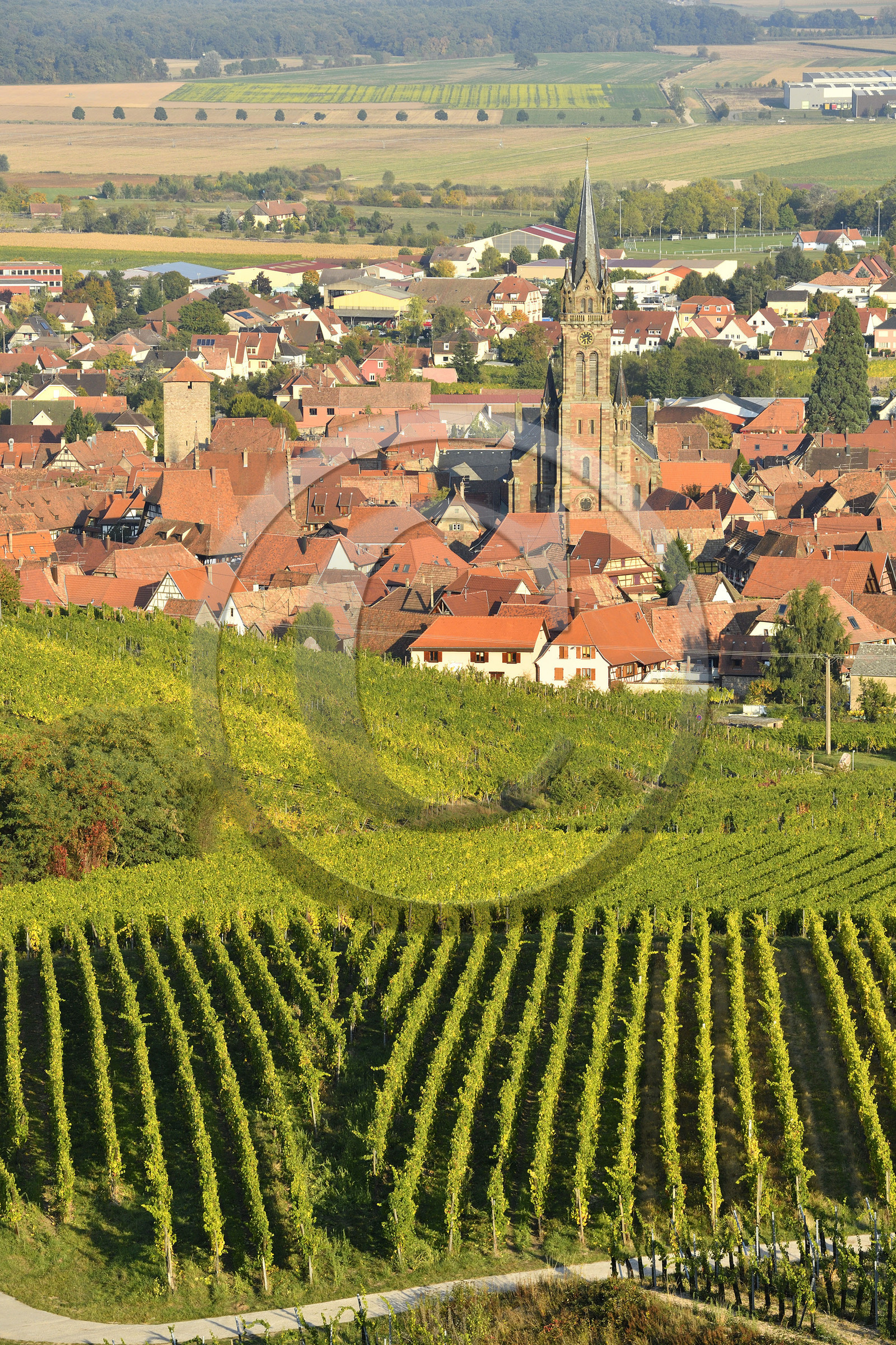 France, Dambach la Ville