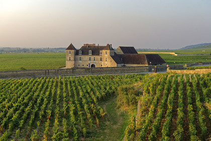 France, Vougeot