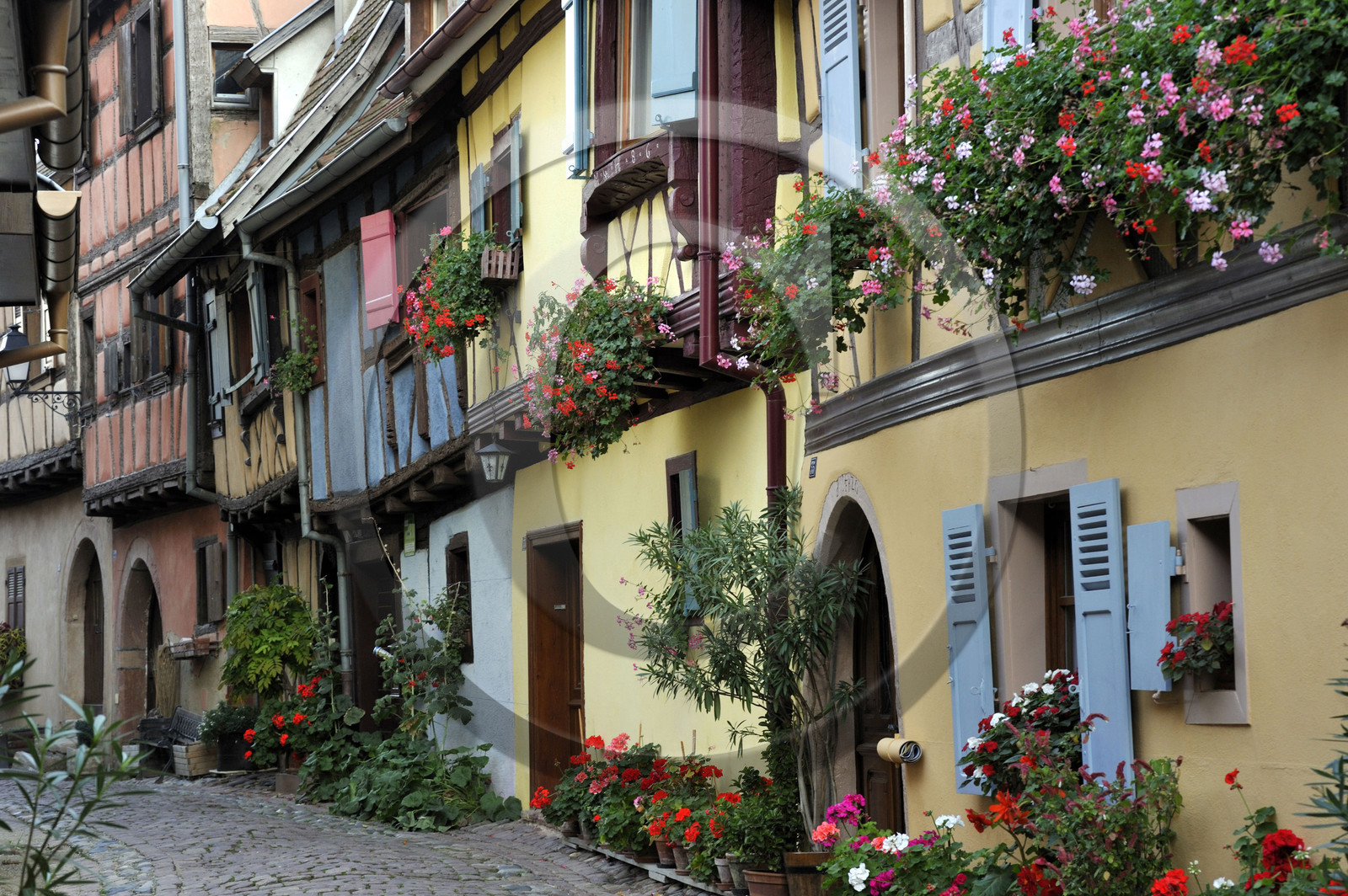 France, Eguisheim