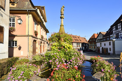 France, Dambach la Ville