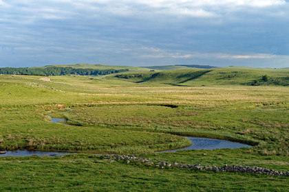 France, Aubrac