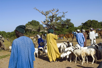 Marché de Gueguenne, Sénégal