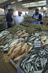 Abu Dhabi, Emirats Arabe Unis