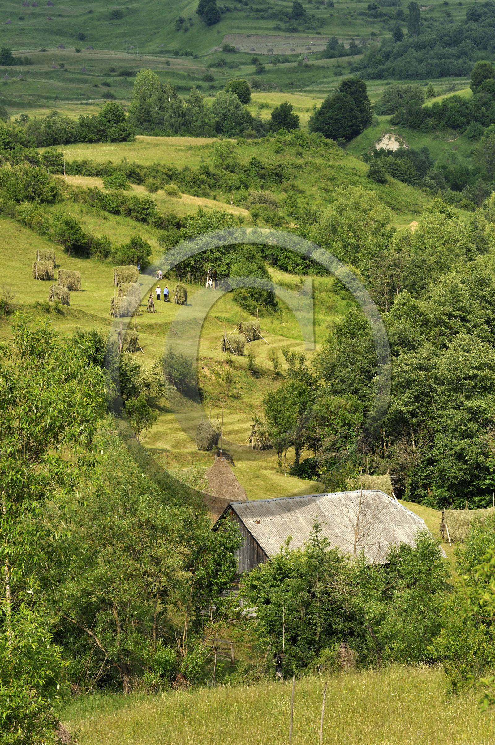 Roumanie, Maramures