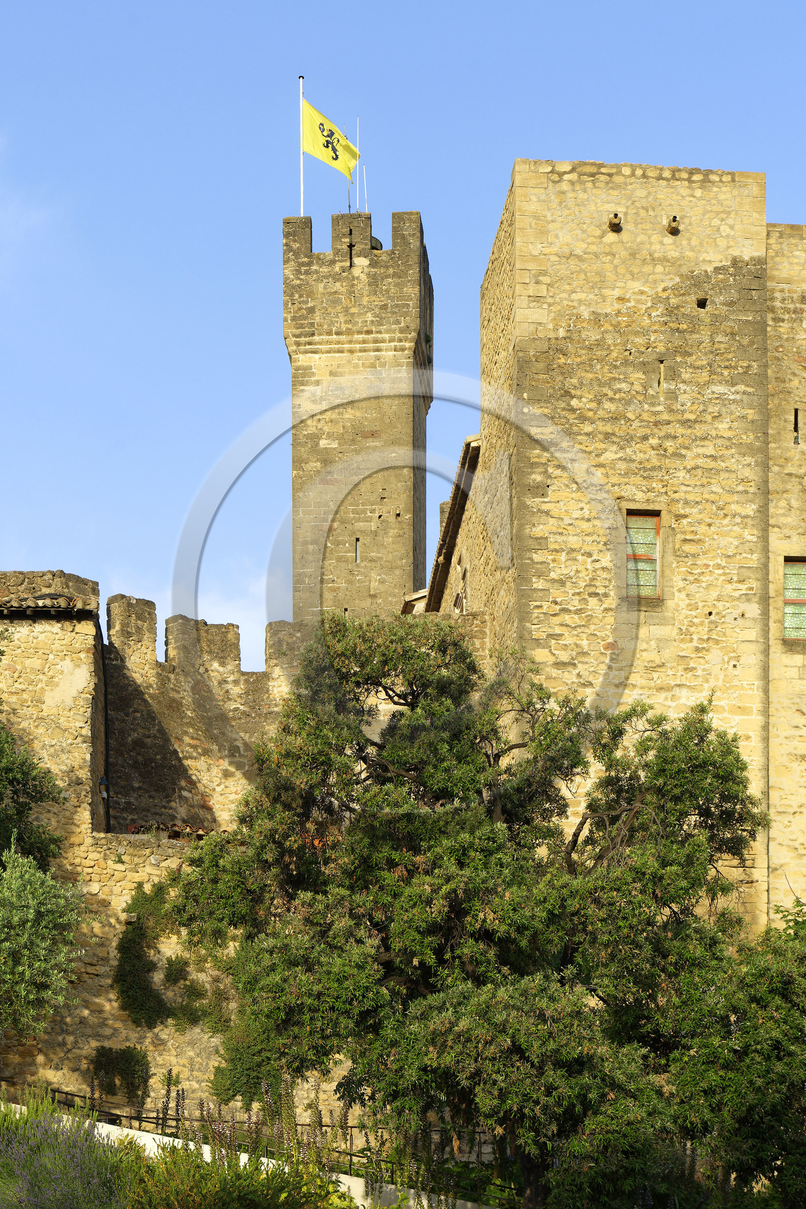 France, Salon de Provence