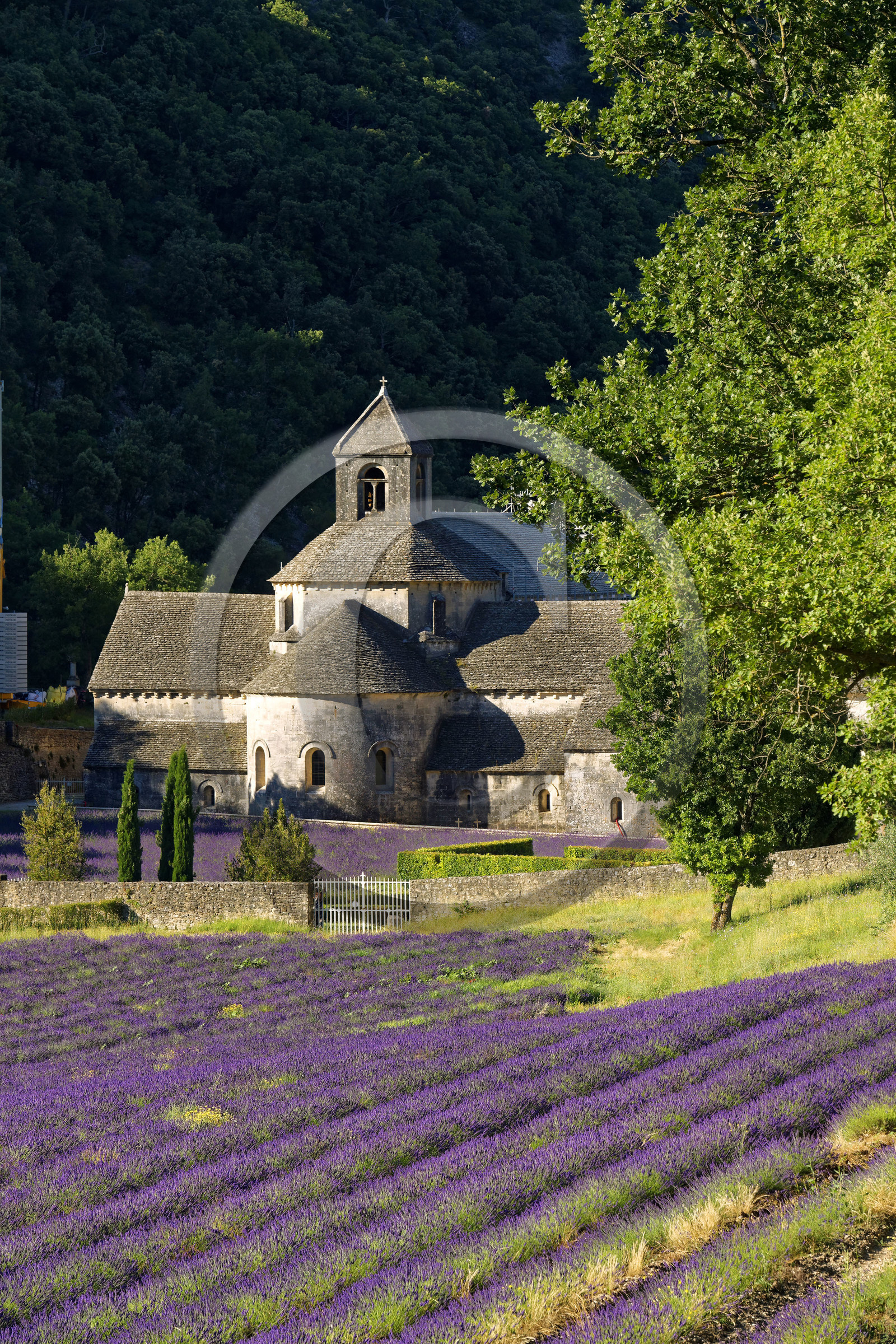 France, Senanque