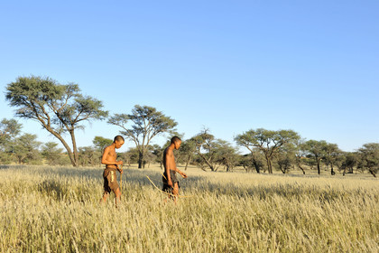 Namibie, Kalahari