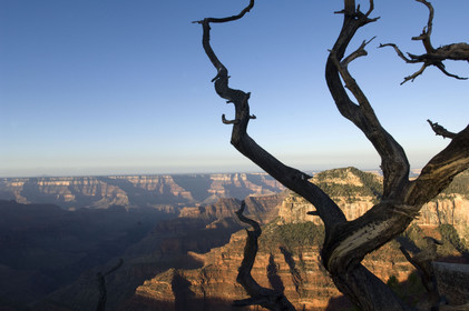 USA, GRAND CANYON