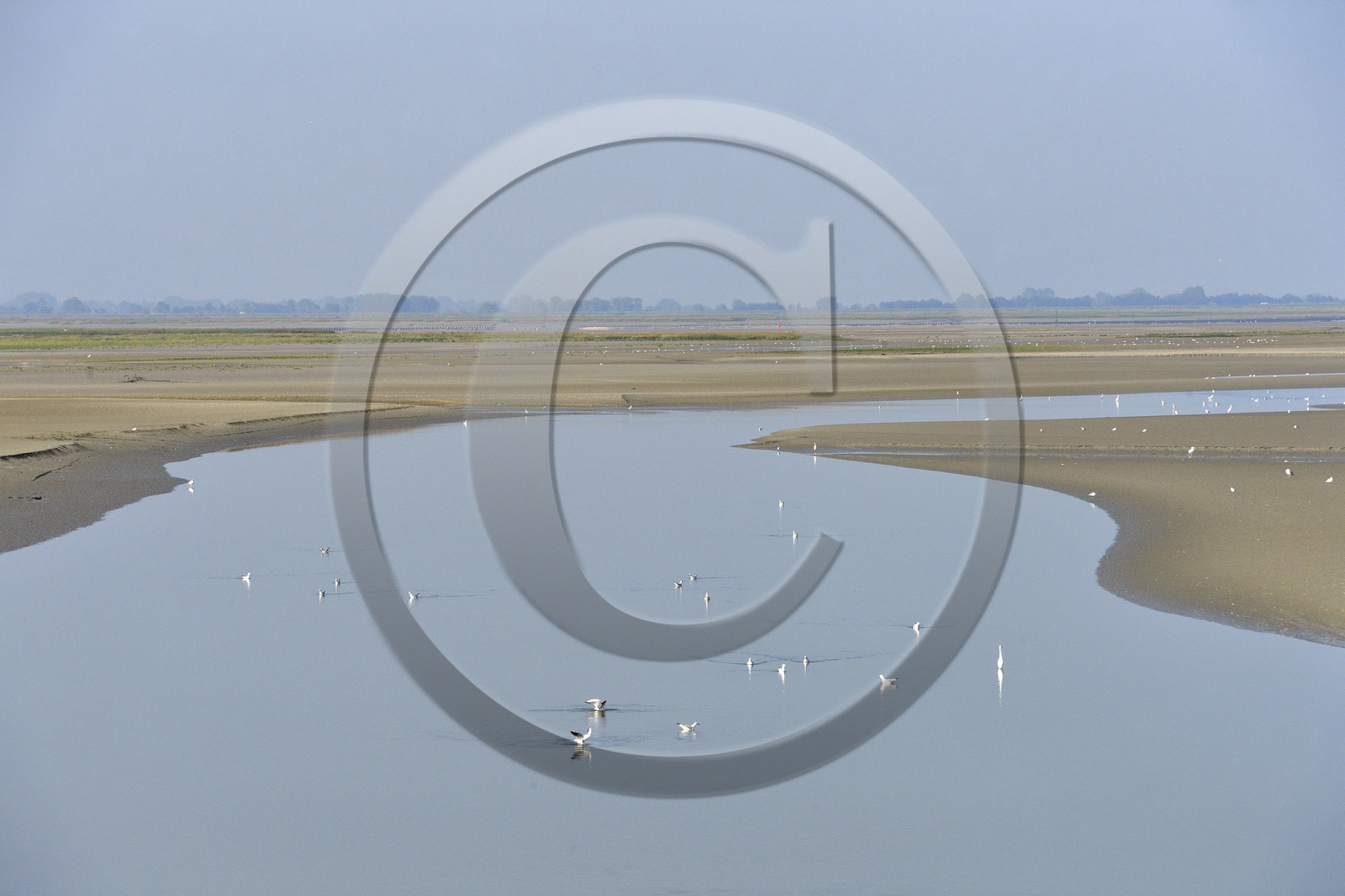 France, Baie de Somme