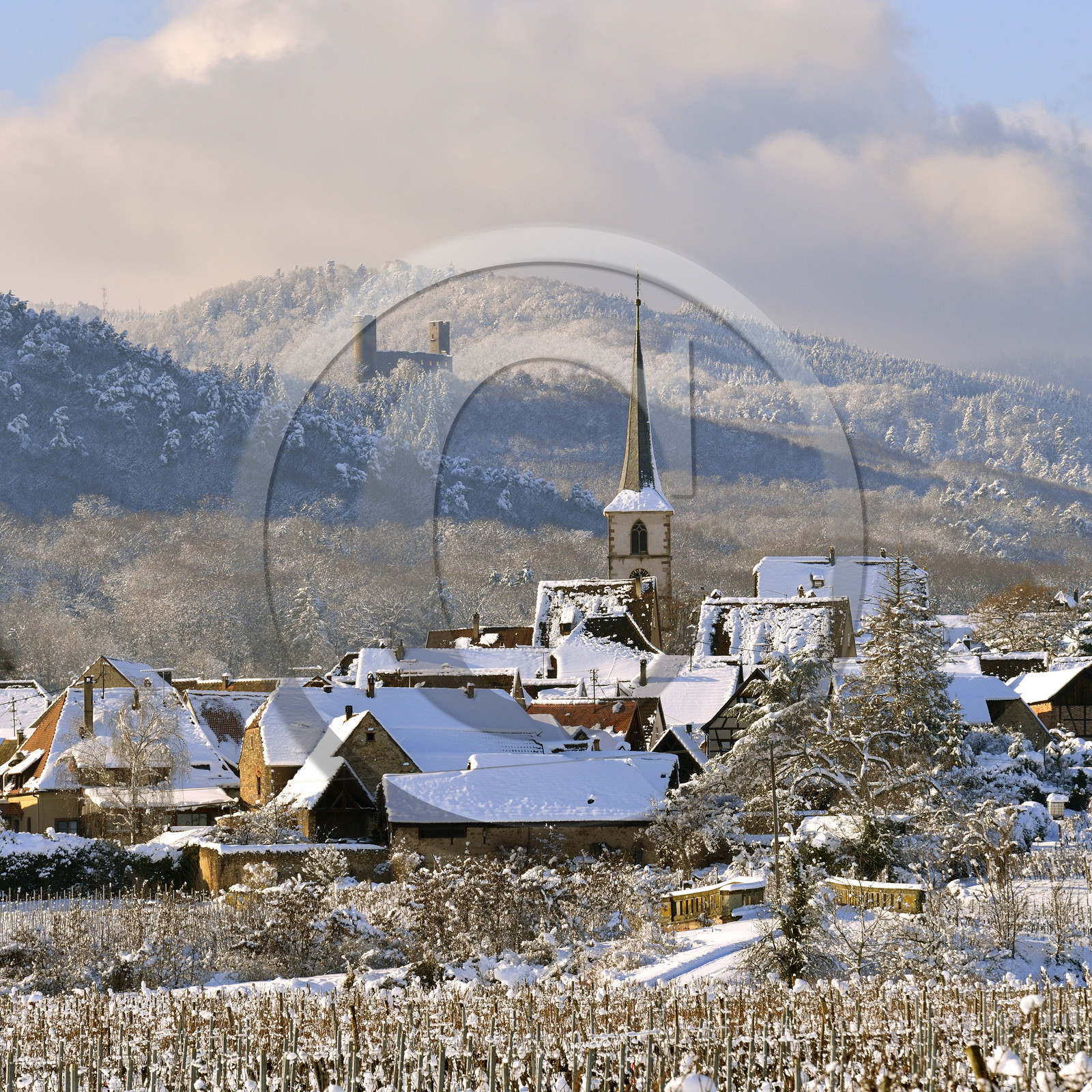 France, Mittelbergheim