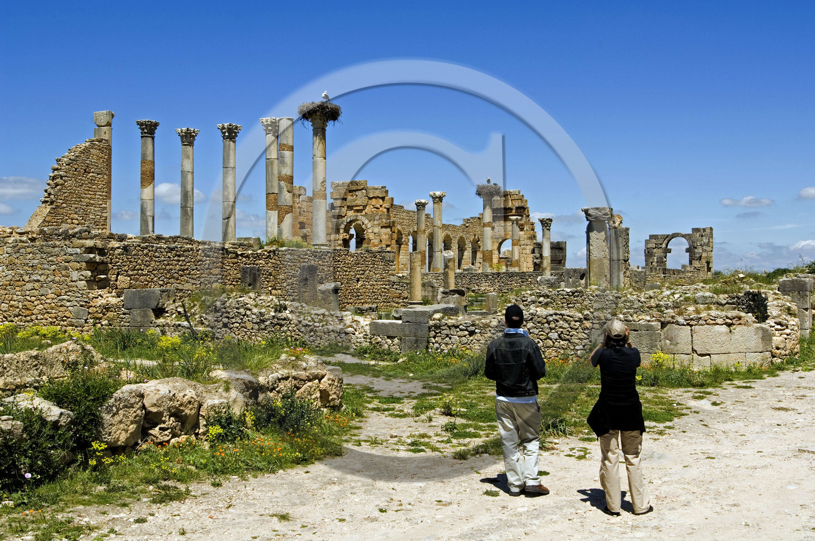 Volubilis, Morokko