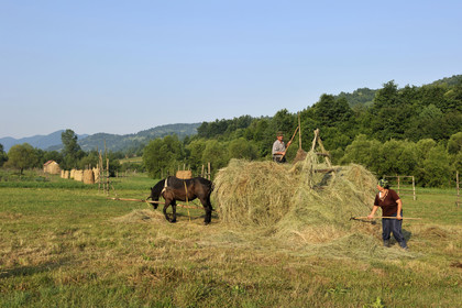 Roumanie, Maramures