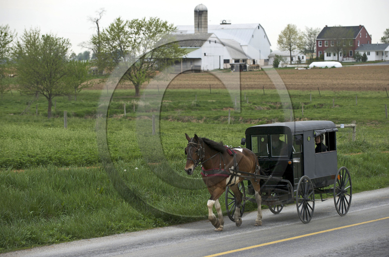USA, Amish