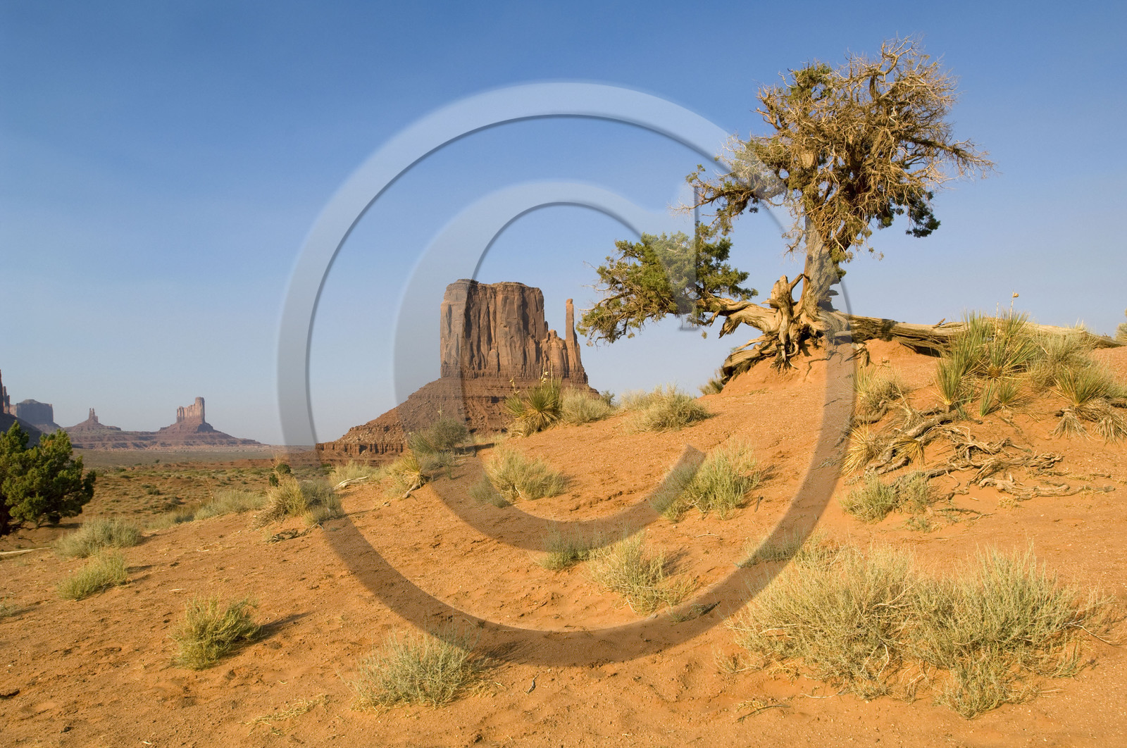 USA, MONUMENT VALLEY