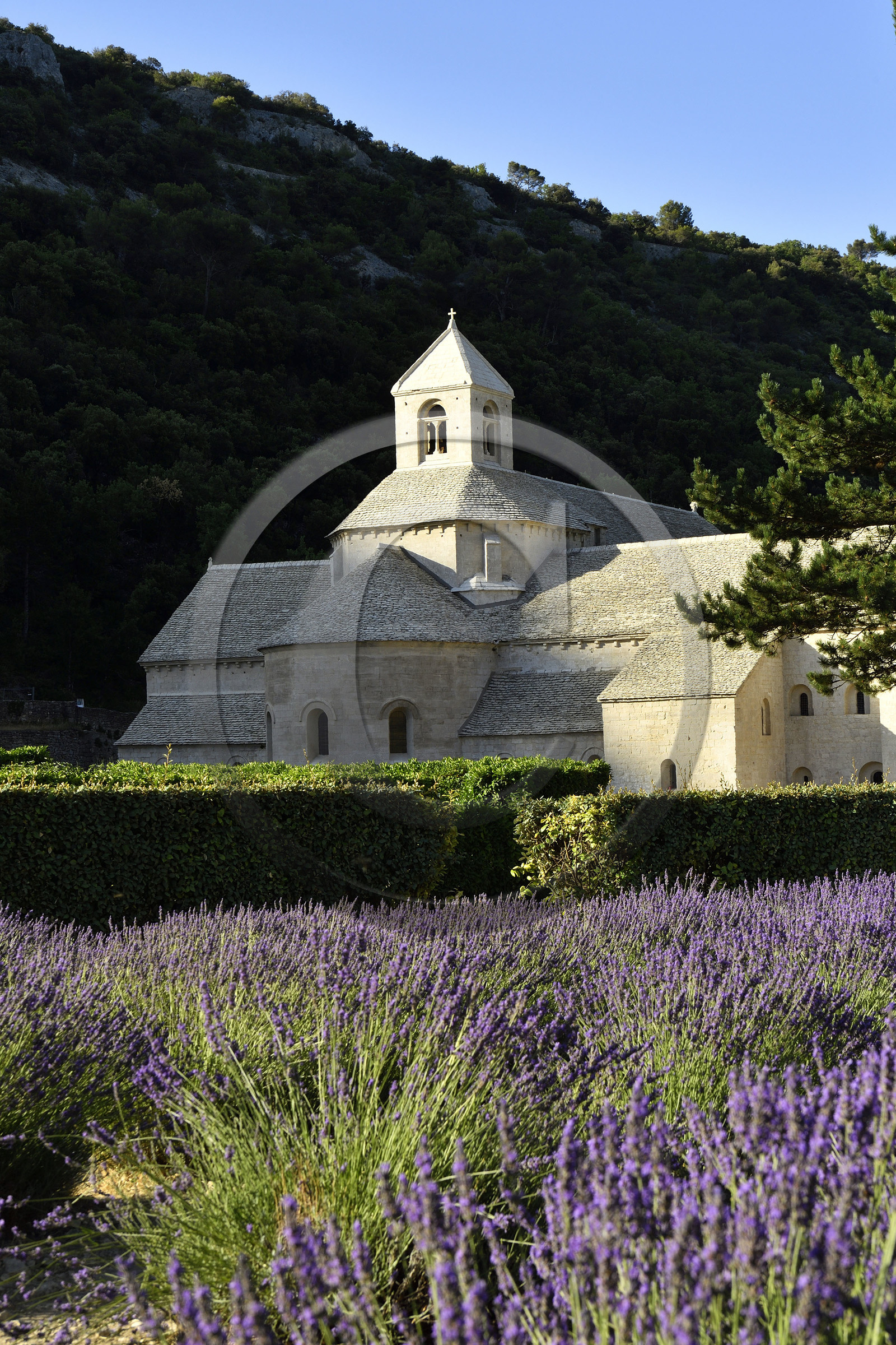 France, Senanque