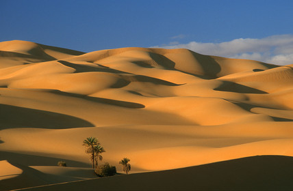 Dunes d' Oubarit, Libye
