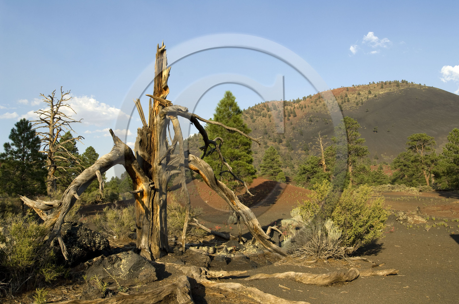 USA, SUNSET CRATER