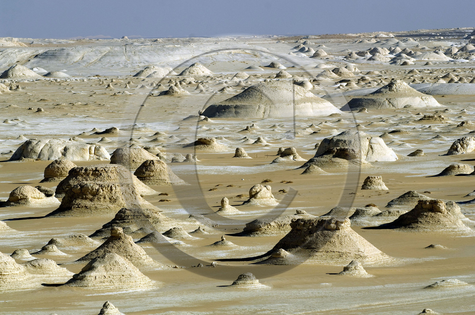 Egypte, désert blanc