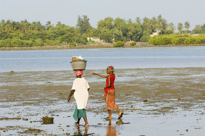 Fadiouth, Sénégal