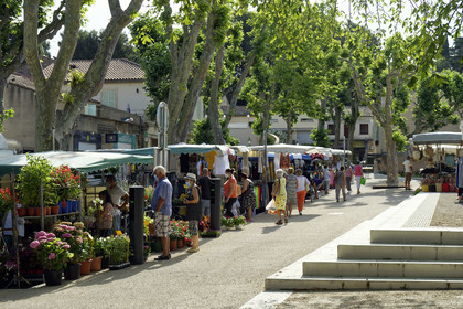 France, Salon de Provence