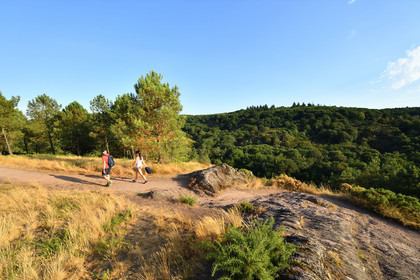 France, Brocéliande