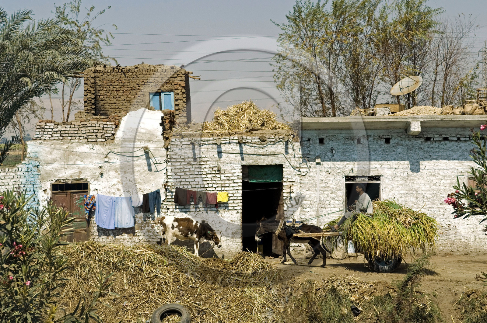 Egypte, Vallée du Nil